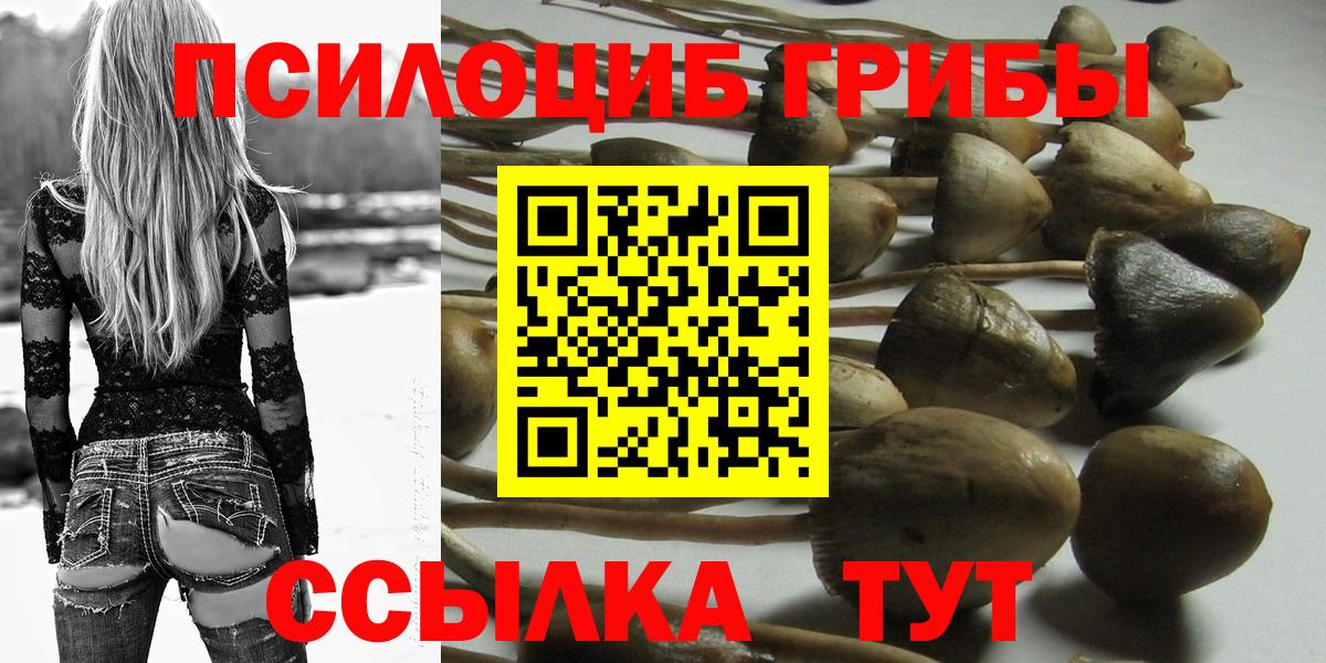 Заволжье  Галлюциногенные грибы GOLDEN TEACHER  Вход с VPN 